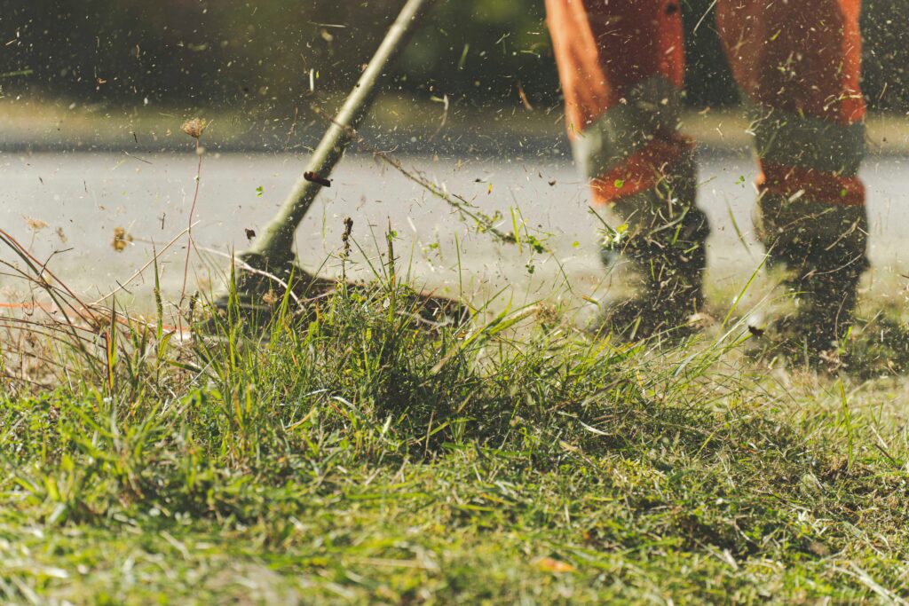 landscape maintenance